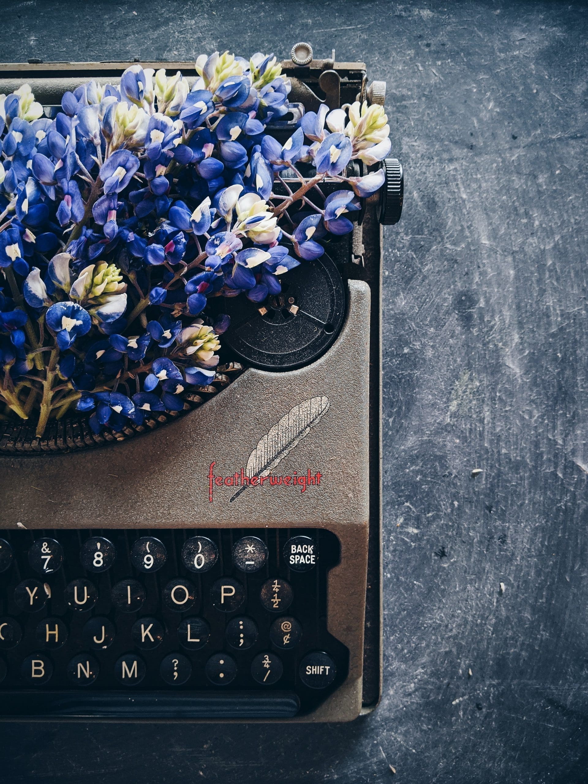joyce-mccown-5cKoQd3GlMc-unsplash