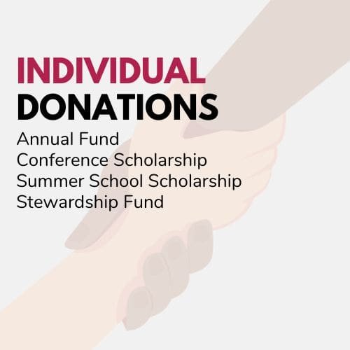 individual donations to the System Dynamics Society
