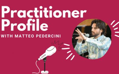 Practitioner Profile: Matteo Pedercini, Millennium Institute