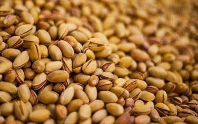 The Pistachio You Eat Is Affecting Growers’ Water in Iran