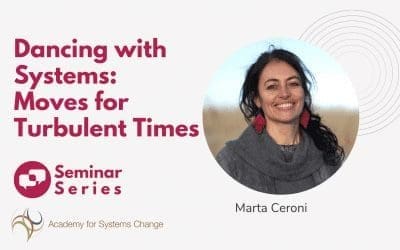 Dancing with Systems: Moves for Turbulent Times