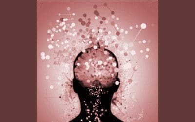 Metacognition in Stock-flow Failure