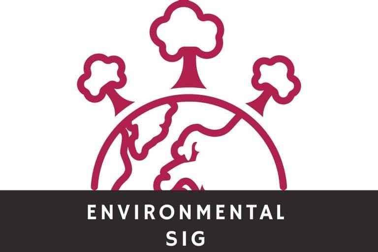 Environmental SIG June Meeting