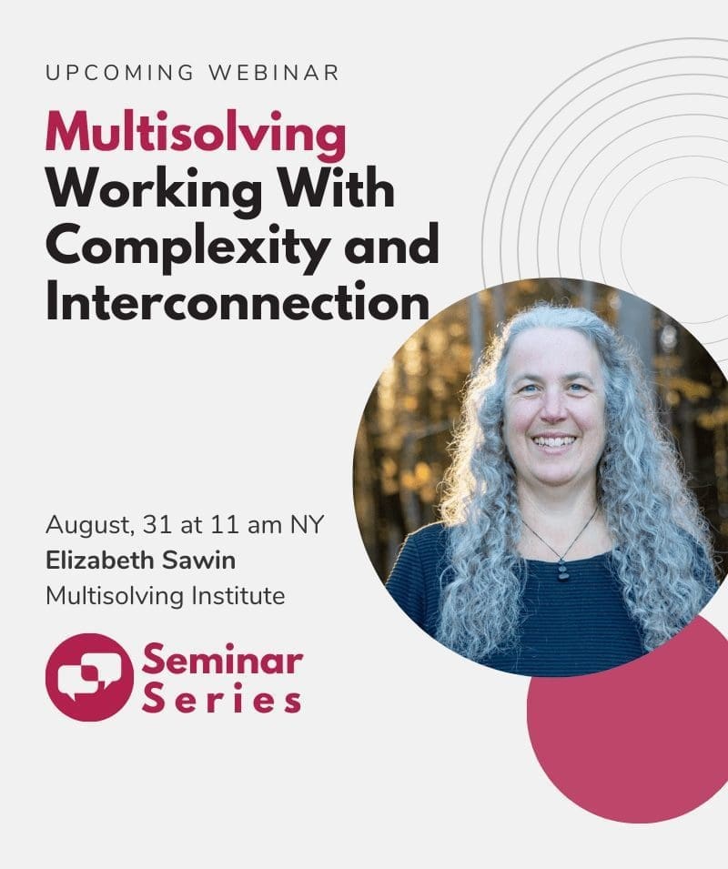 Multisolving: Working With Complexity and Interconnection