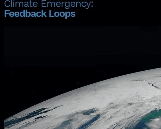 Climate cafe: feedback loops