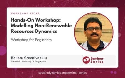 Workshop: Modeling Non-Renewable Resources Dynamics