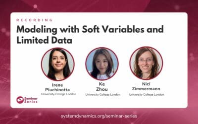 Modeling with Soft Variables and Limited Data