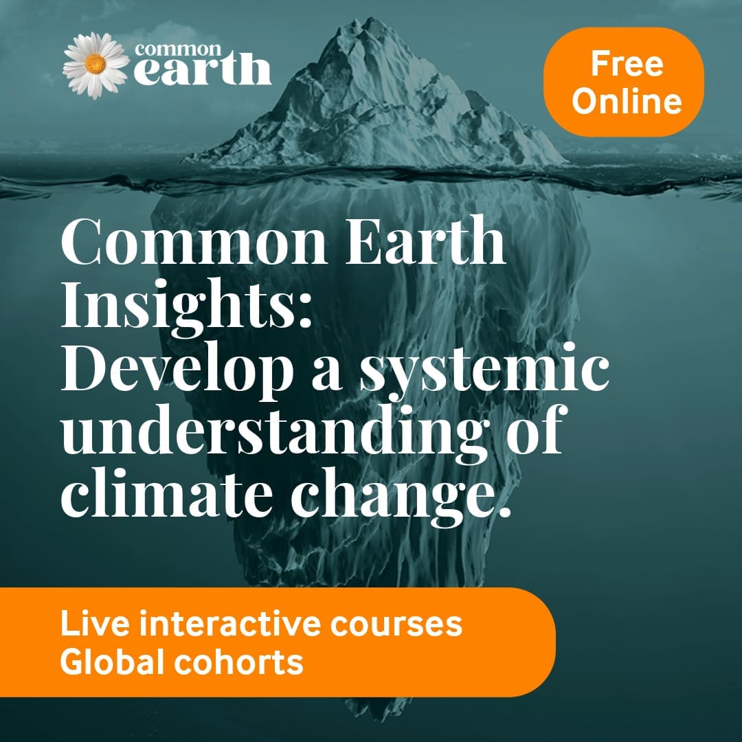 2025 Common Earth Insights SDS (1)